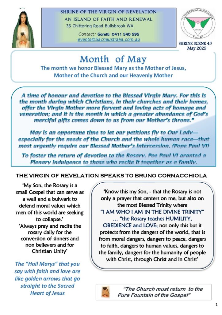 thumbnail of 45 Shrine Scene May 2025