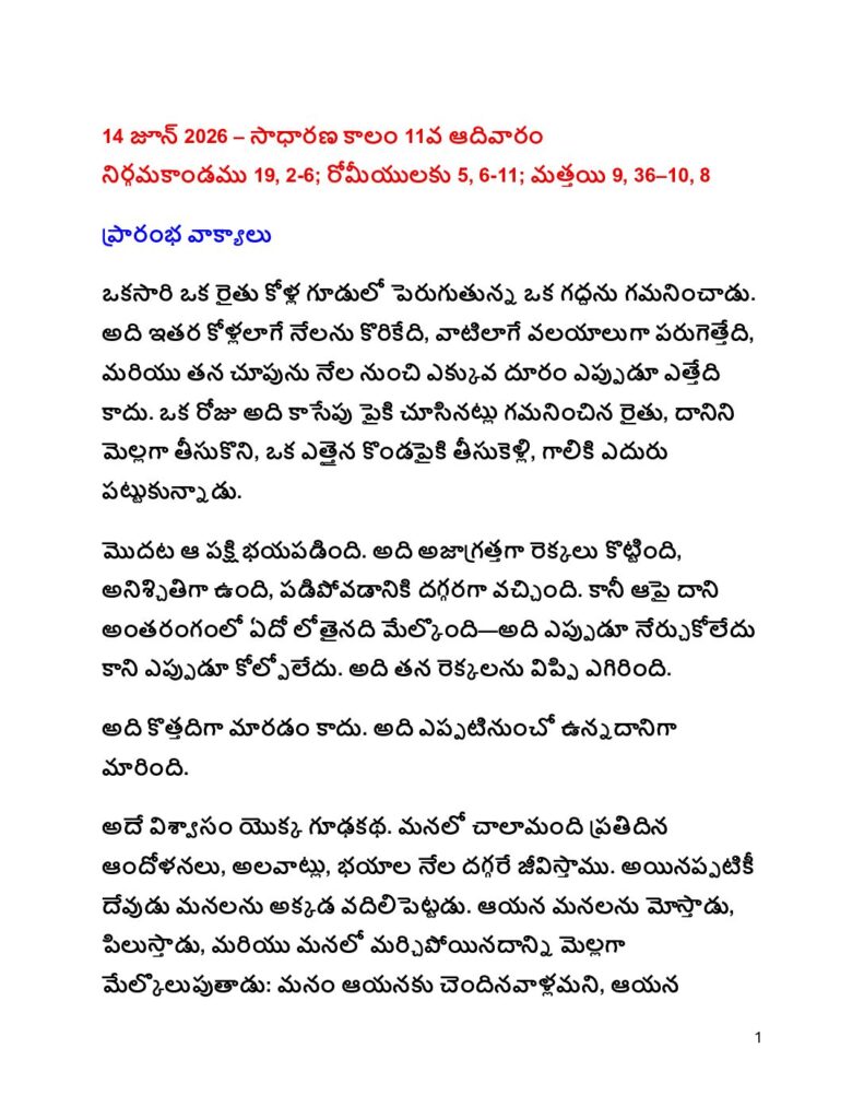 thumbnail of 11 Sunday of Ordinary time (A) 2026 -Telugu